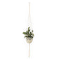 Hanging Plant Holder Indoor/Outdoor