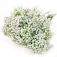 90 Pieces Artificial Babies Breath Bouquet