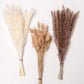 Dried Pampas Grass Decorative Bouquet for your Home