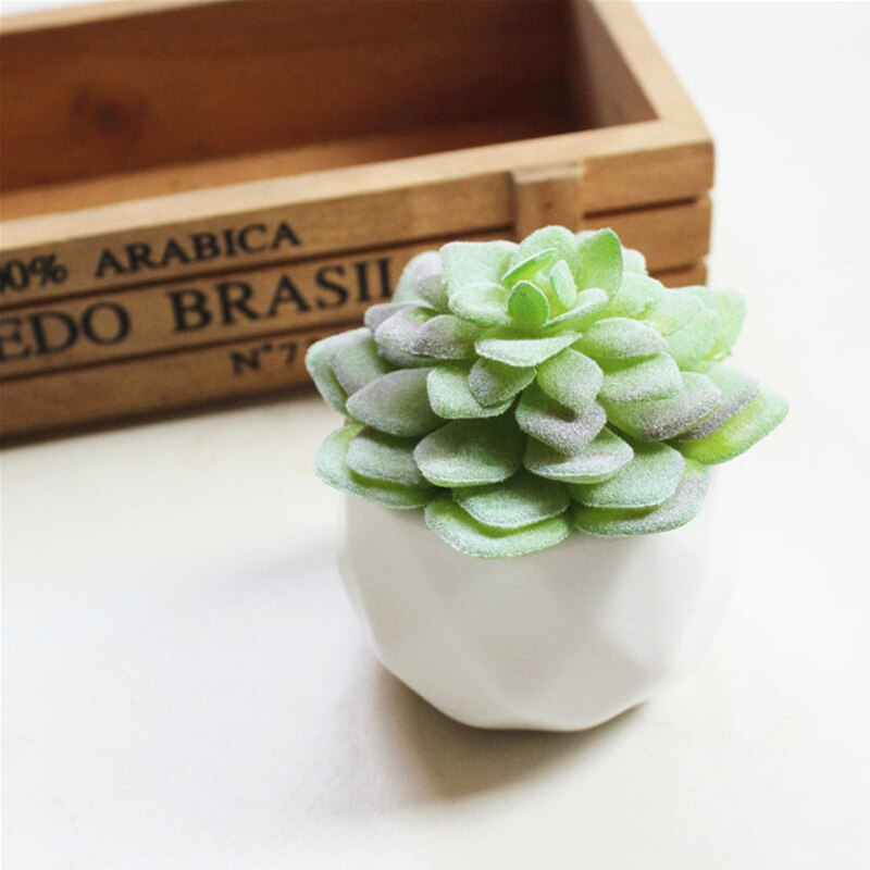 Artificial Succulent Plants