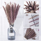 Dried Pampas Grass Decorative Bouquet for your Home
