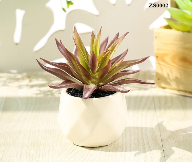 Artificial Succulent Plants