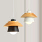 Minimalist Modern Nordic Style Hanging Lights
