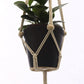 Hanging Plant Holder Indoor/Outdoor