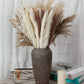 80 Pieces Natural Pampas Grass Bouquet