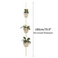 Hanging Plant Holder Indoor/Outdoor