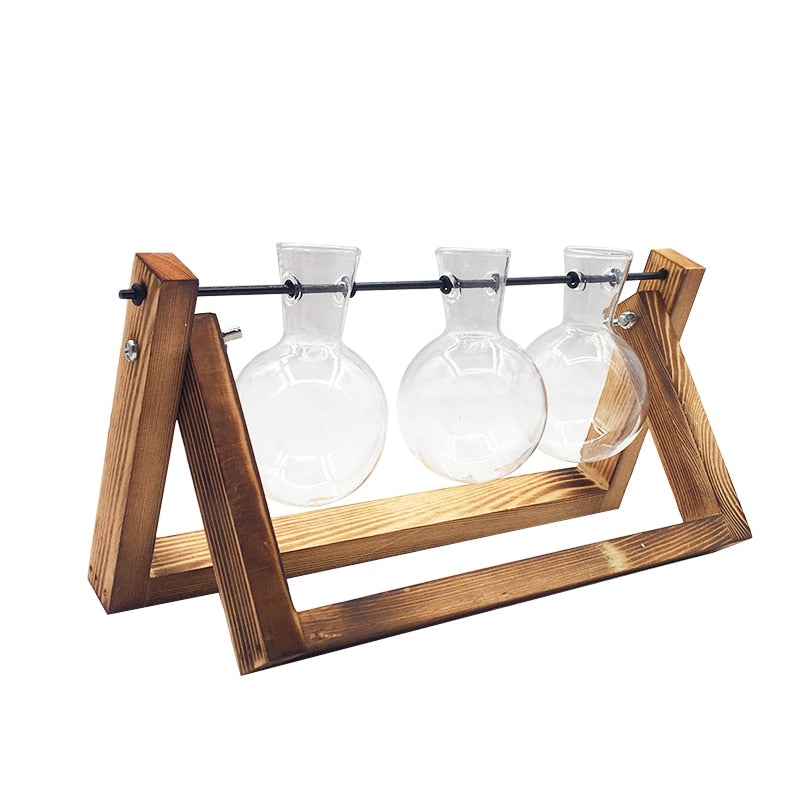 Creative Hydroponic Tabletop Terrarium with Transparent Vase and Wooden Frame