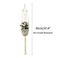 Hanging Plant Holder Indoor/Outdoor