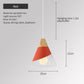 Modern Nordic Style Metal Pendant Hanging Lamp
