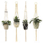 Hanging Plant Holder Indoor/Outdoor