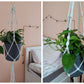 Hanging Plant Holder Indoor/Outdoor