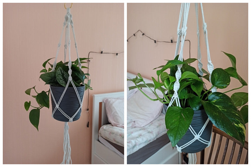 Hanging Plant Holder Indoor/Outdoor