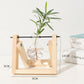 Creative Hydroponic Tabletop Terrarium with Transparent Vase and Wooden Frame