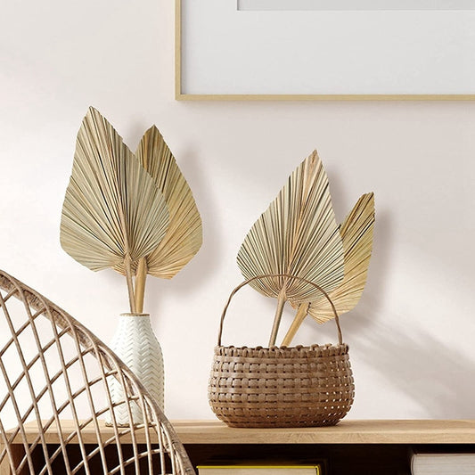 Dried Tropical Palm Leaves 4 Pieces